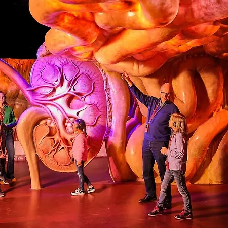 호텔 Hilton Garden 레이든